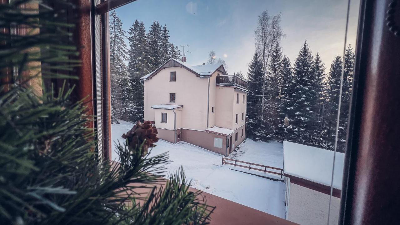 Apartmany Domino Železná Ruda Eksteriør billede